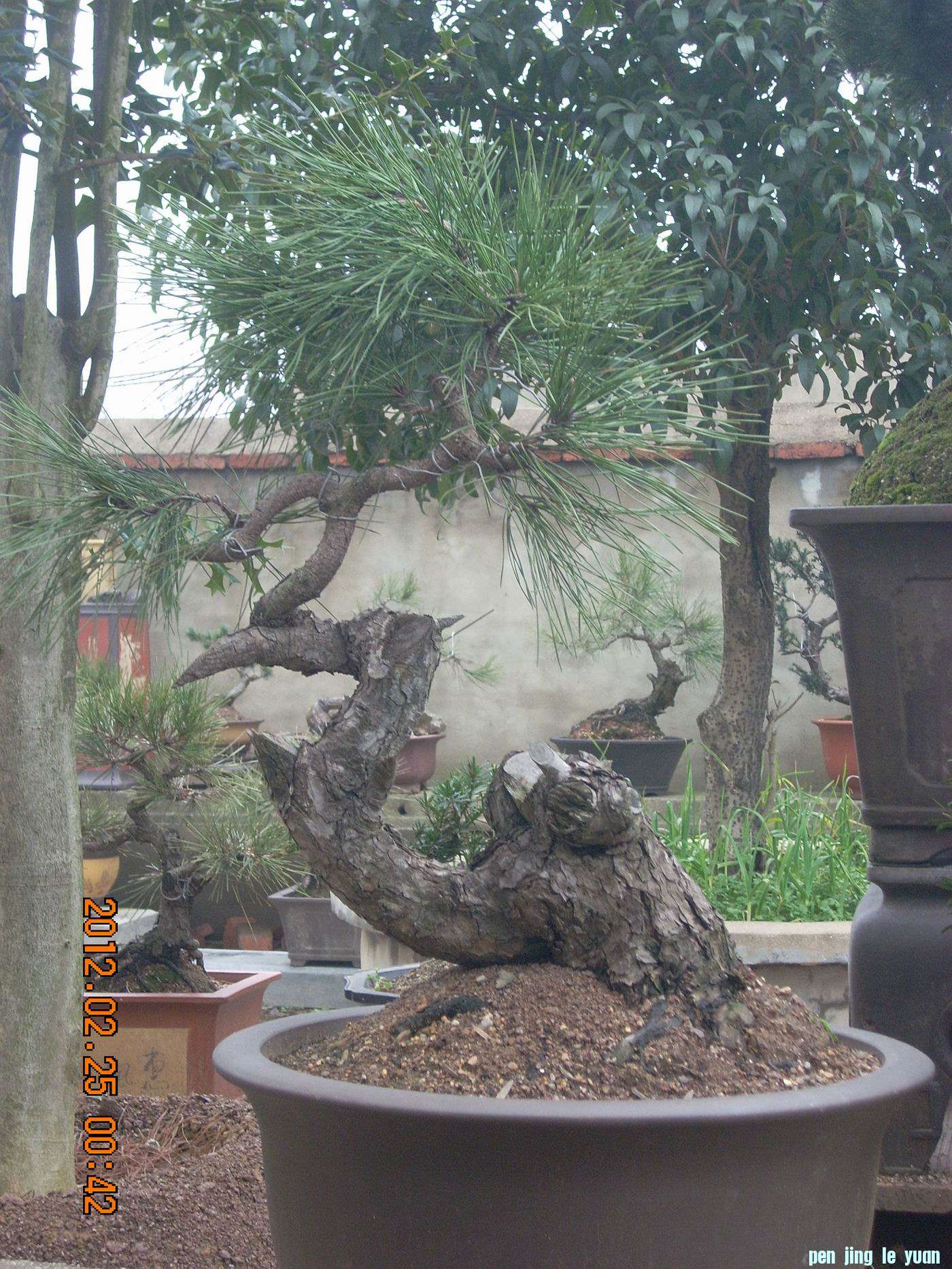 С ת DSCN0059.JPG