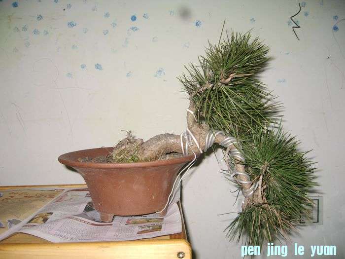 Ƭ 072.jpg