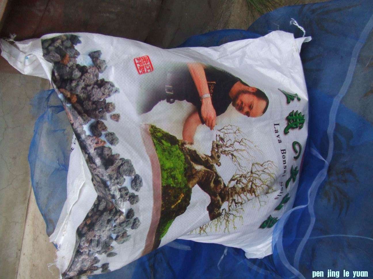 С DSCF8459.JPG