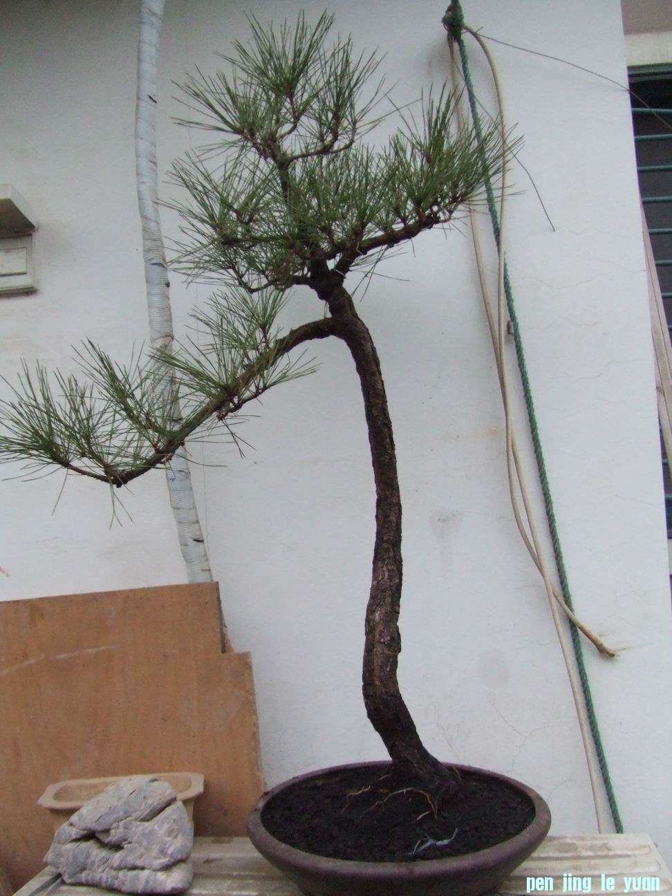 С ת DSCF8464.JPG