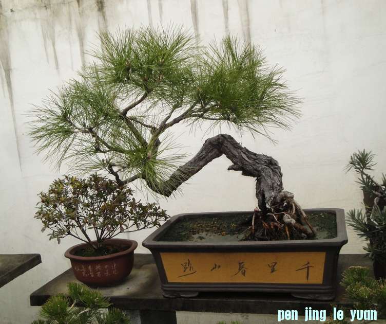 DSC08234.JPG