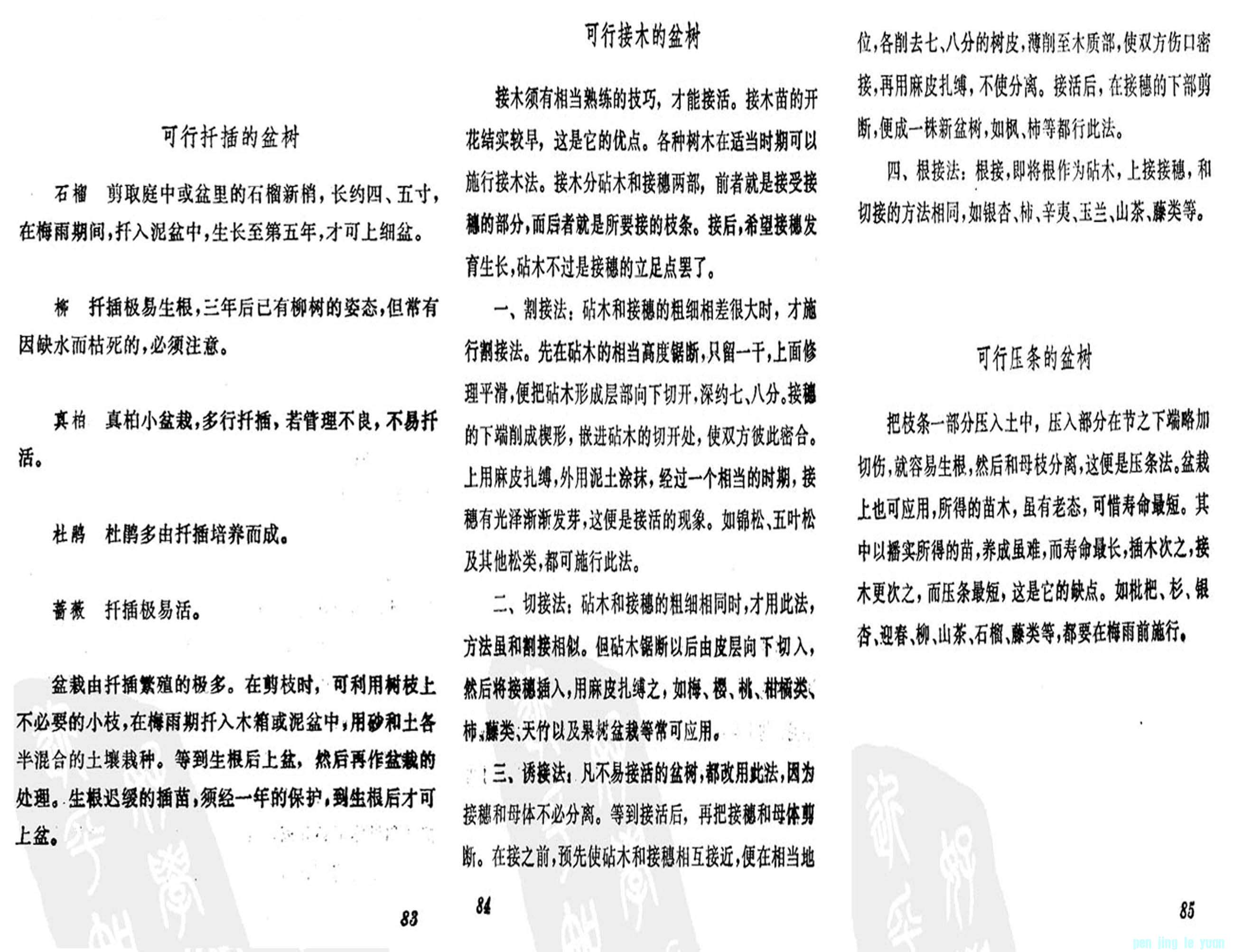 24ݾȤζʮĽ2.jpg