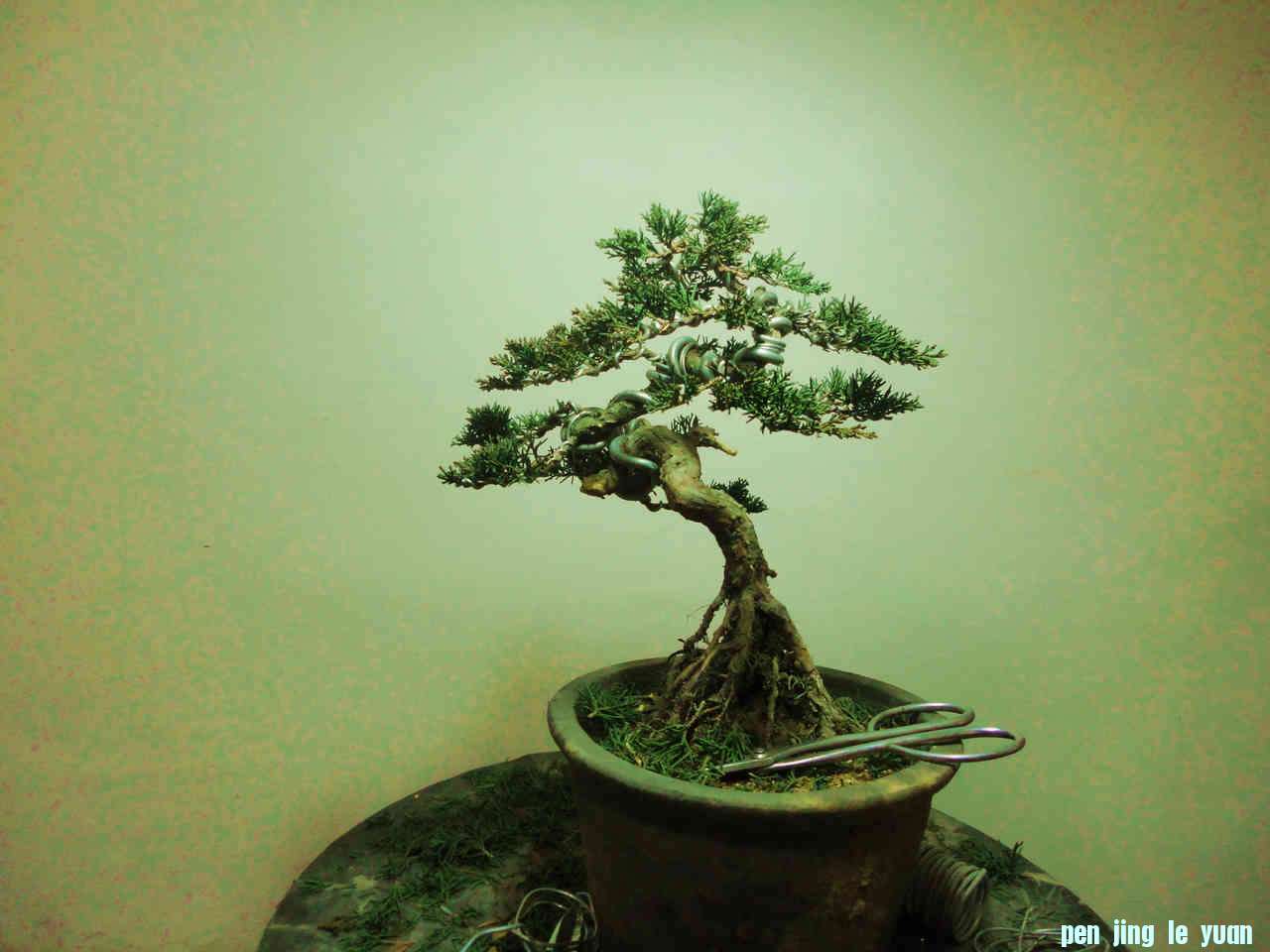 DSC00884.jpg
