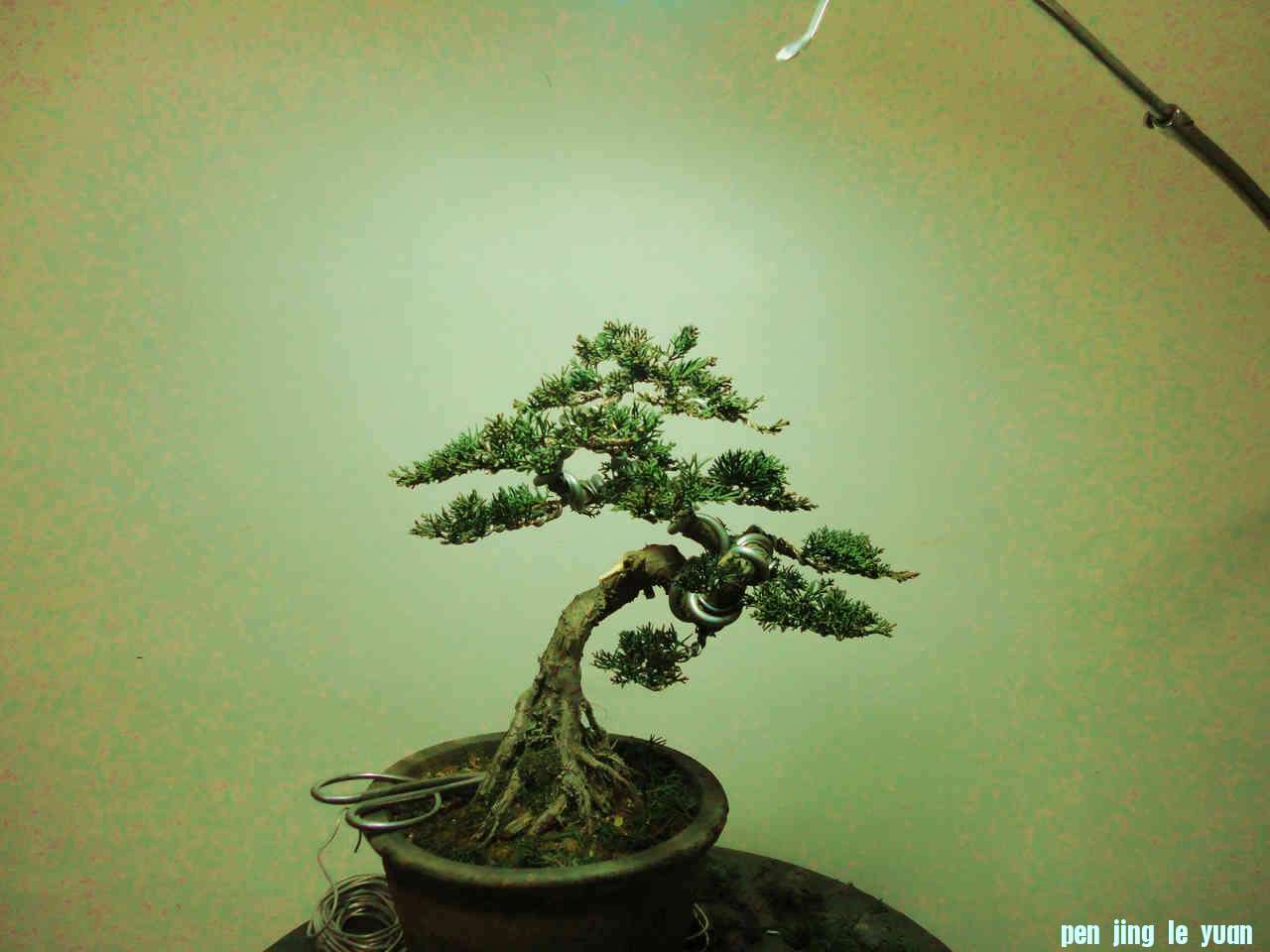 DSC00885.jpg