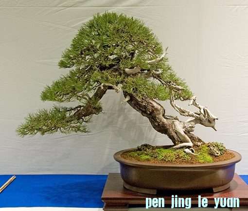 090c301b1df.jpg