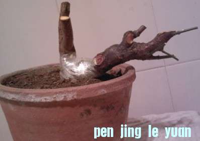 01.jpg