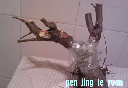 04.jpg