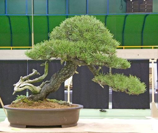 09074e.jpg