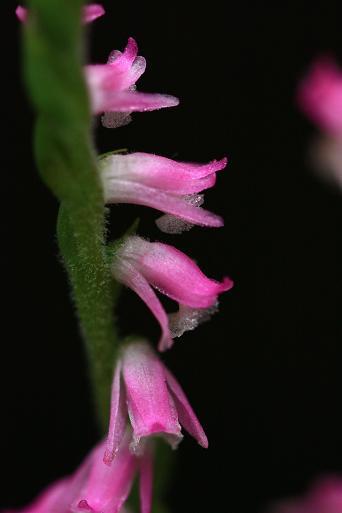 o0342051310624451462.jpg