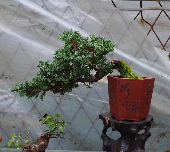 P1020125.JPG