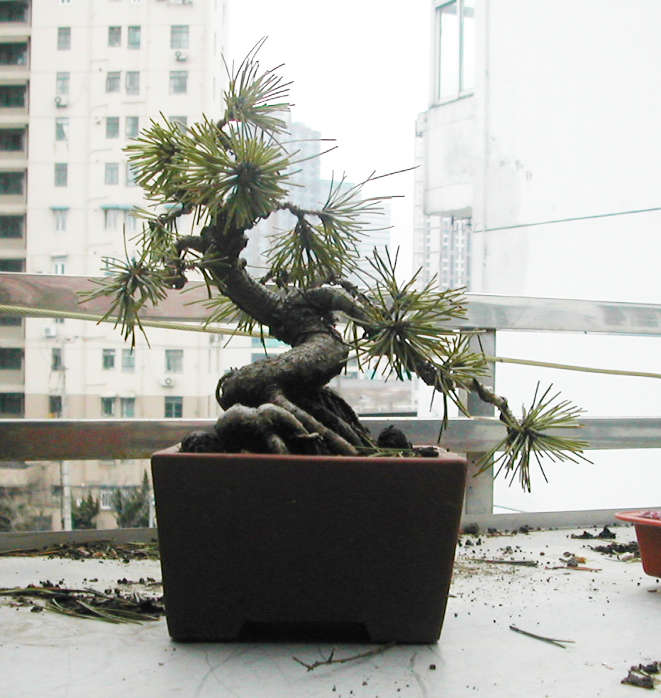 DSCN5843.JPG
