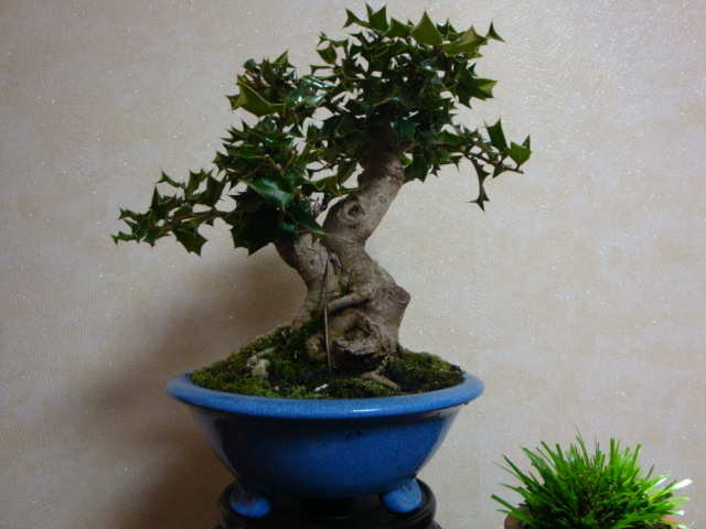 DSC07891.JPG