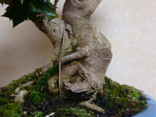 DSC07892.JPG