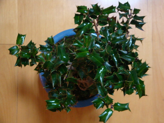 DSC07900.JPG
