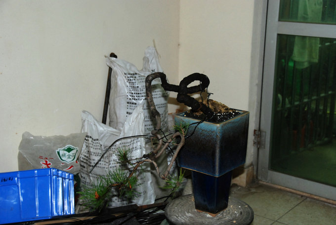 DSC_0546.JPG