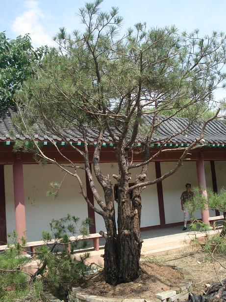 DSC00021-2.JPG