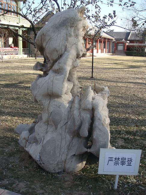DSC00861.JPG
