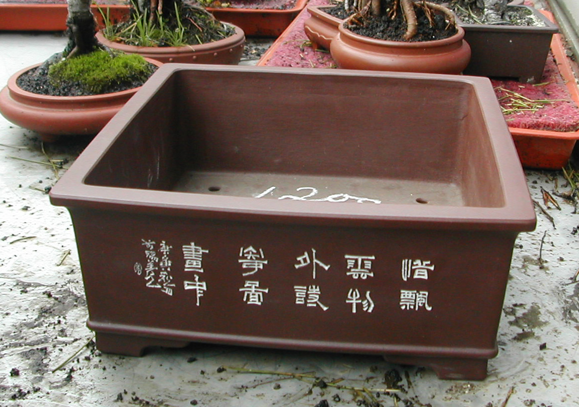 DSCN5851.JPG