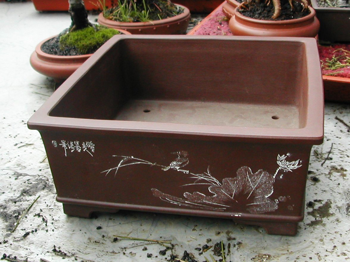 DSCN5849.JPG