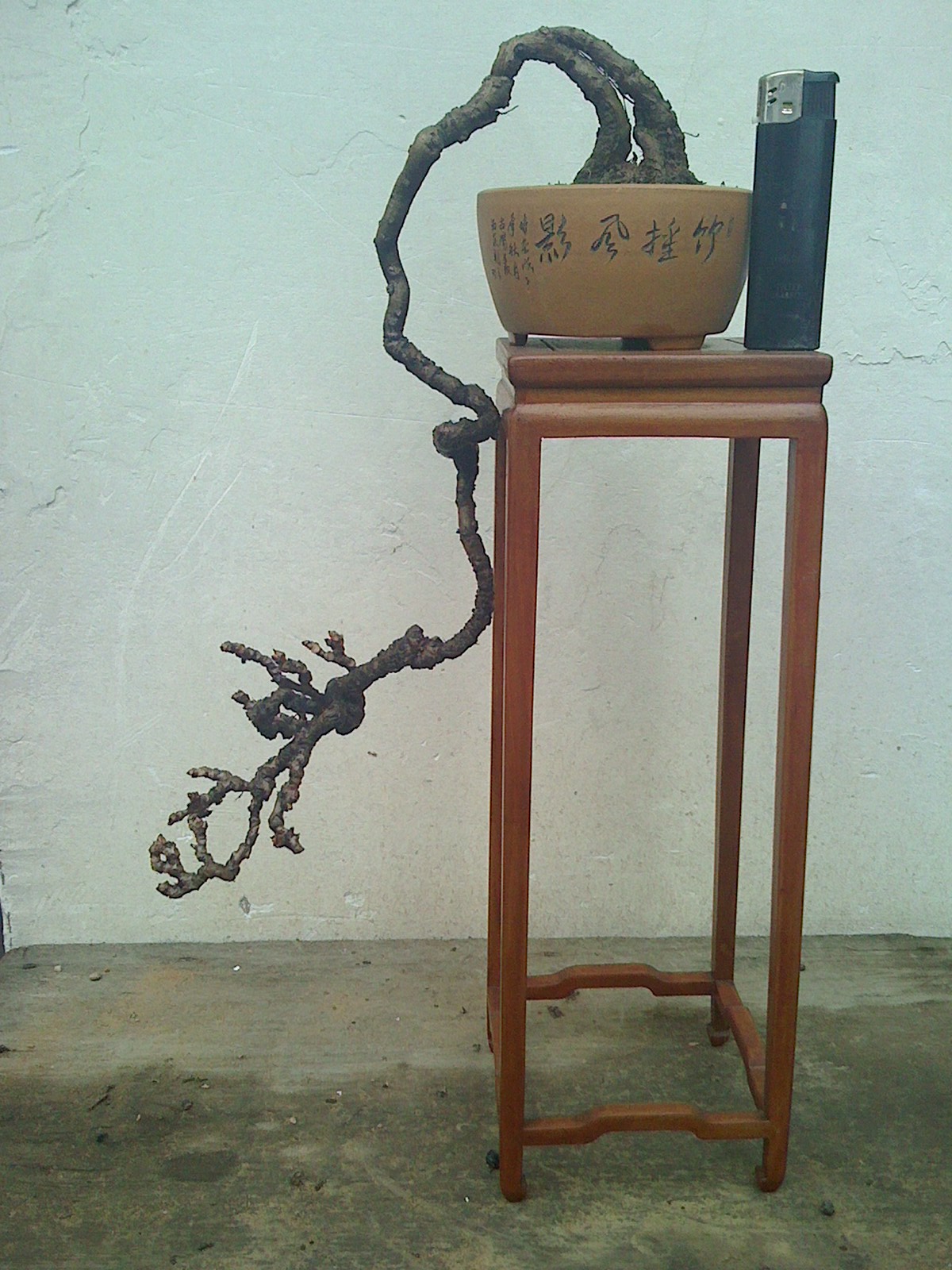 IMG0301110700.jpg