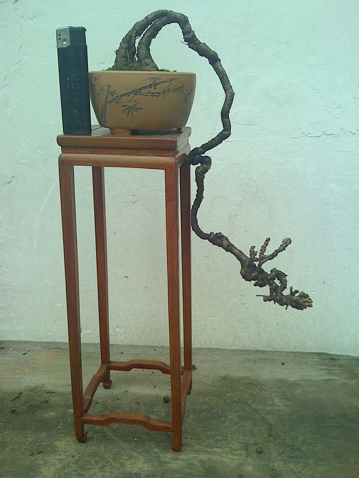 IMG0301111400.jpg