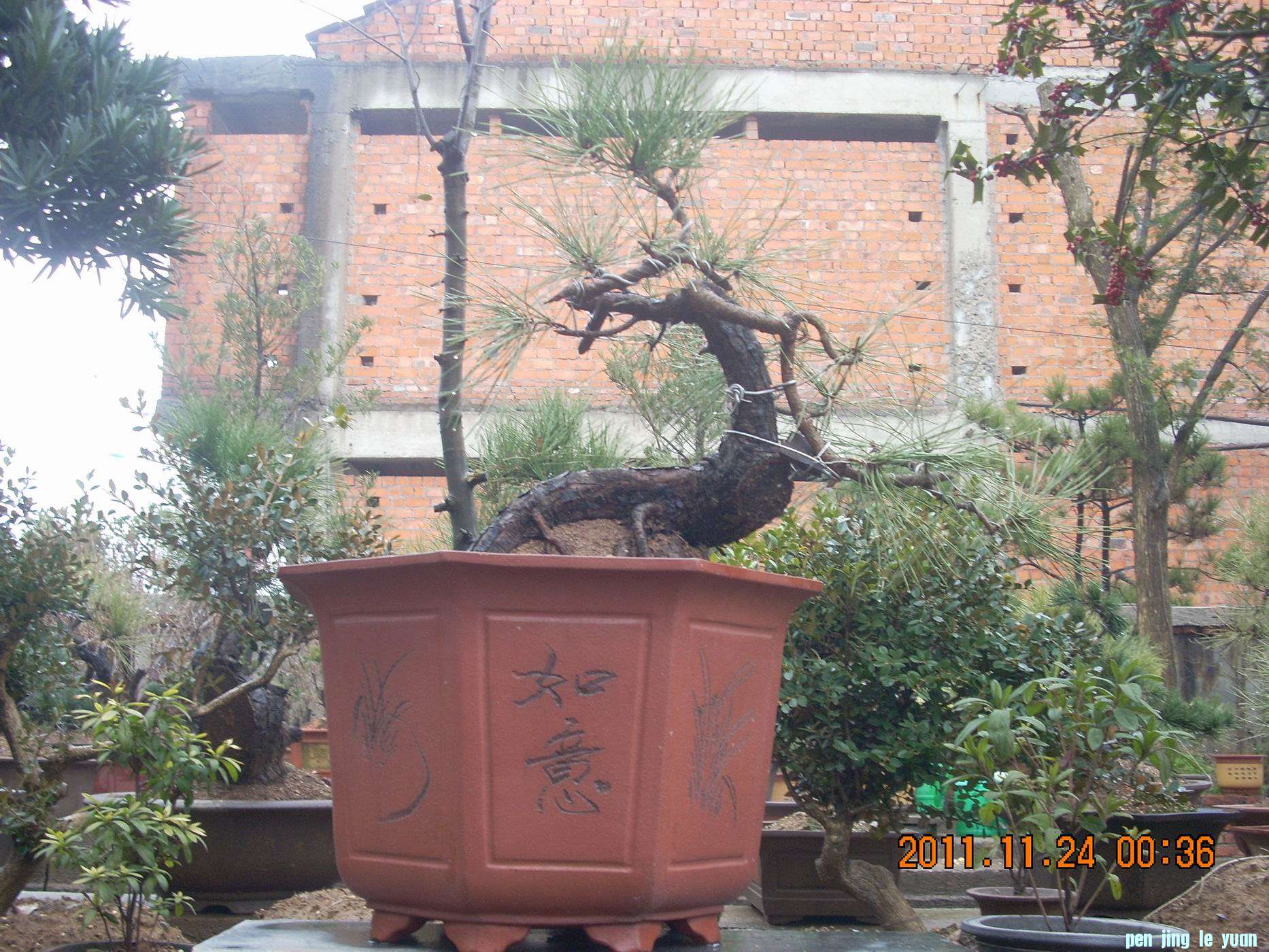 С DSCN0052.JPG