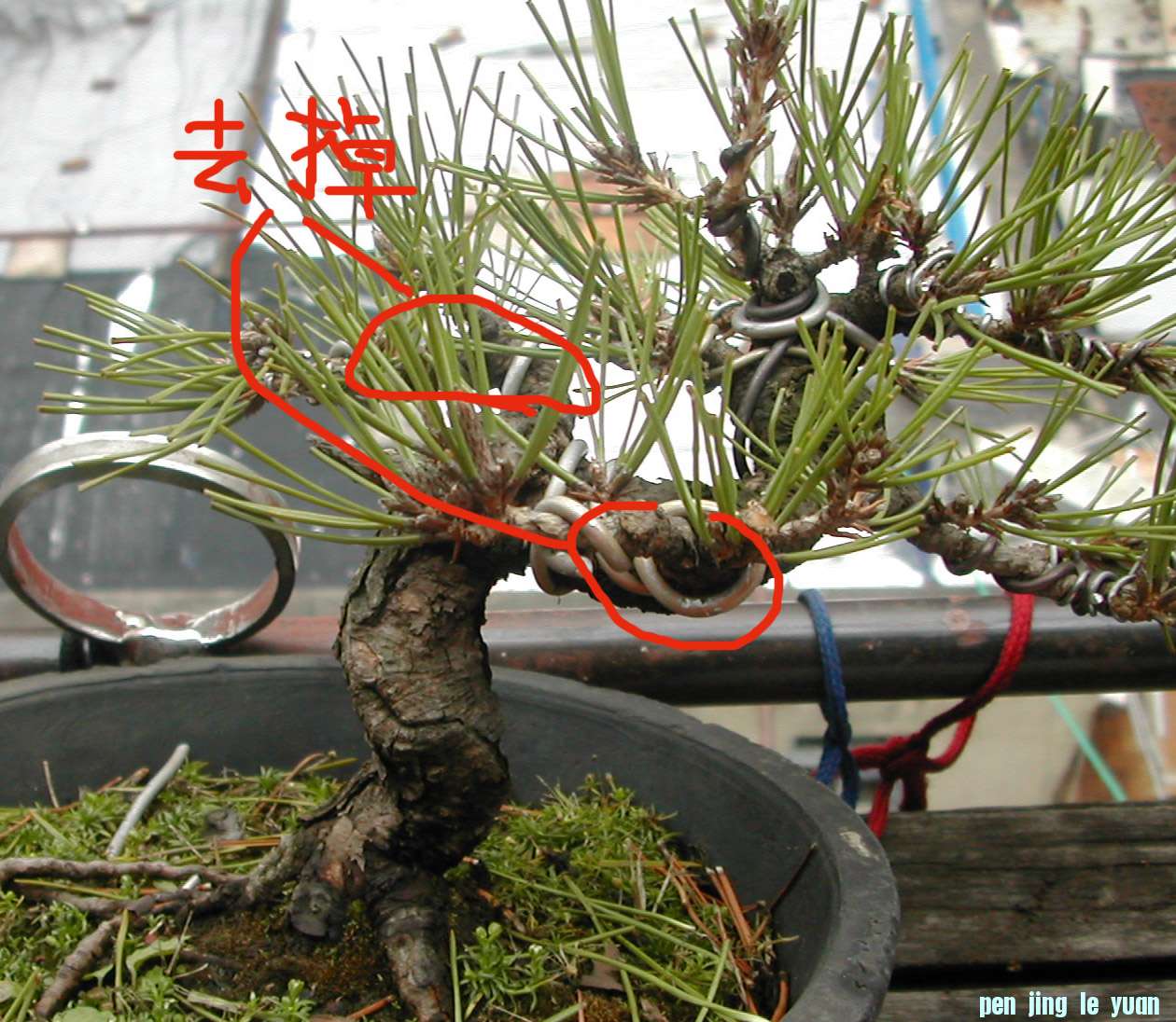 DSCN5858.JPG
