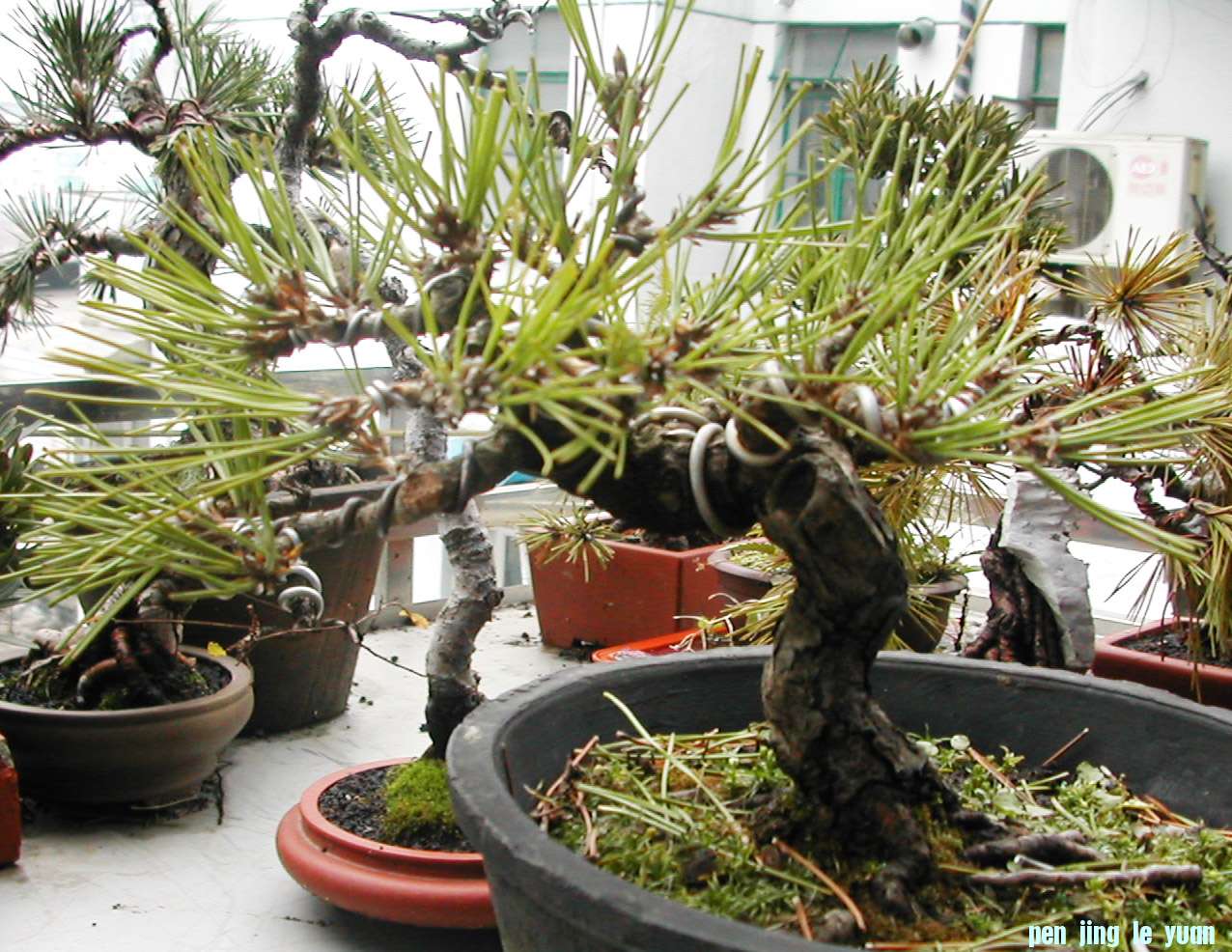 DSCN5852.JPG