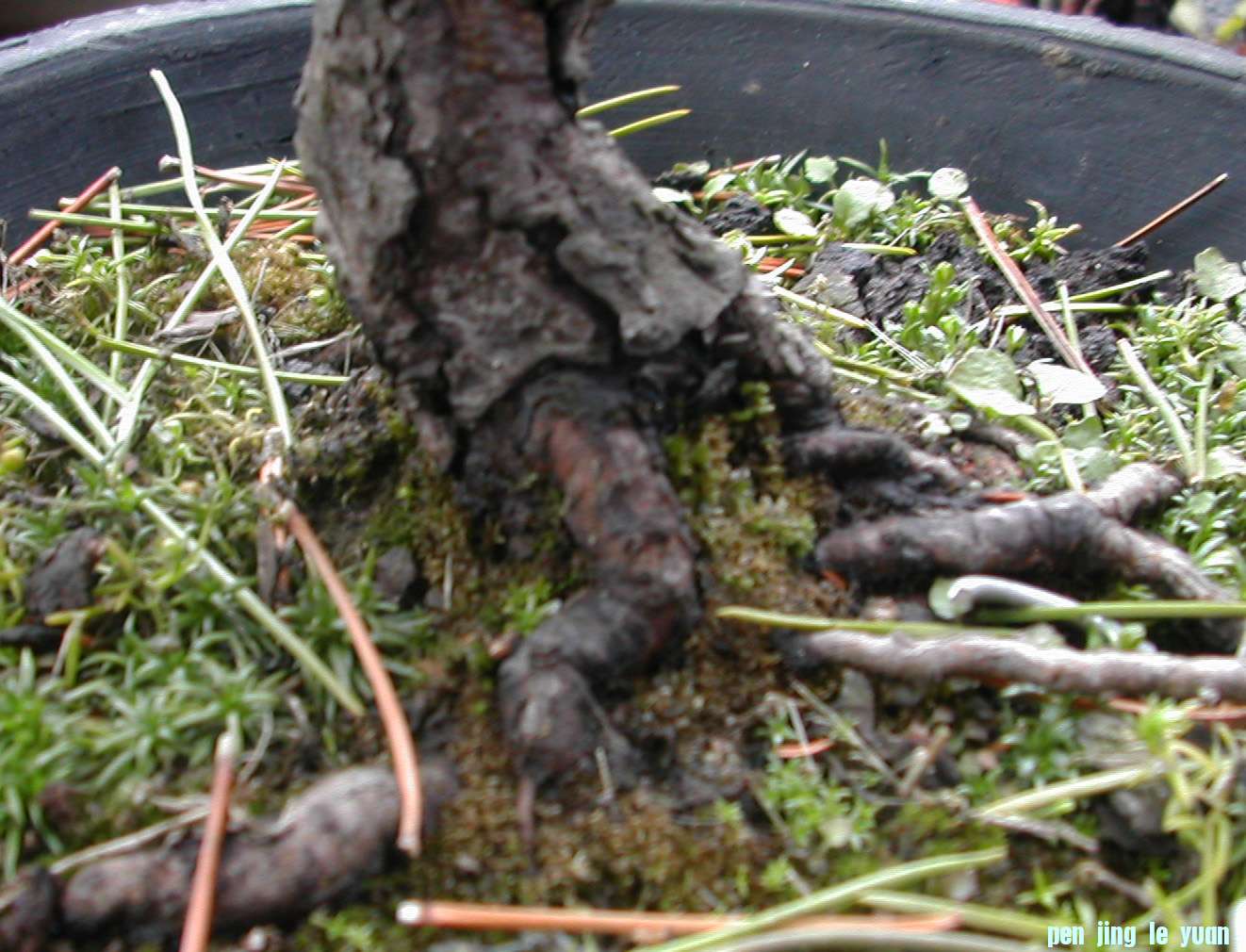 DSCN5853.JPG