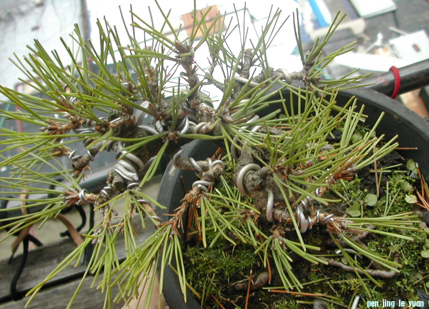 DSCN5857.JPG