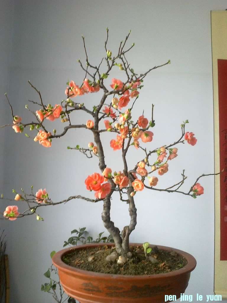 20120302908.jpg