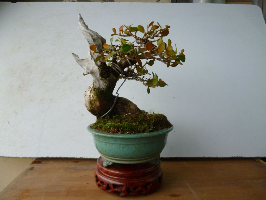С201203.jpg