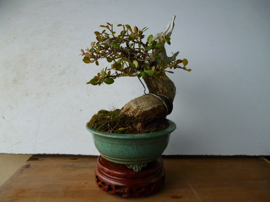 С201203.jpg