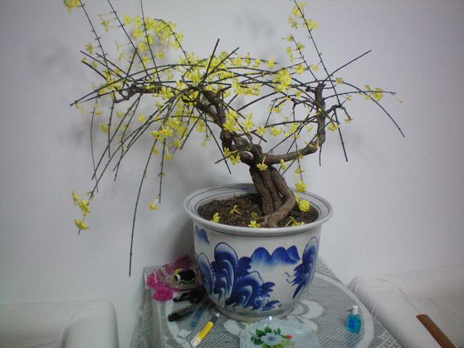 100_0960.JPG