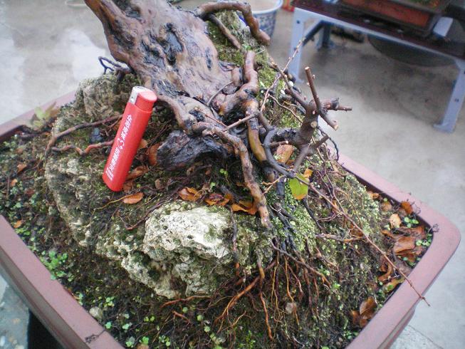 100_0975.JPG
