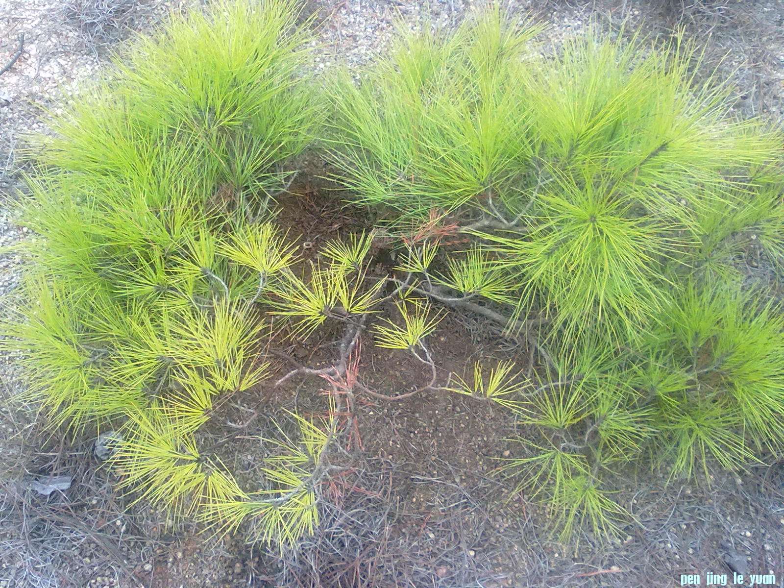 20120224455.jpg