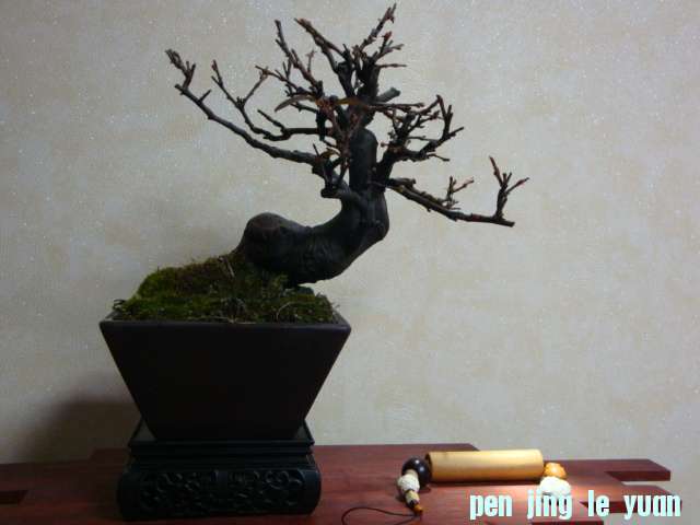 DSC07985.JPG