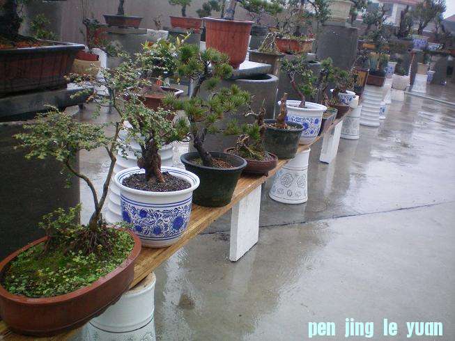 100_0978.JPG
