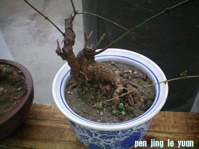 100_0986.JPG