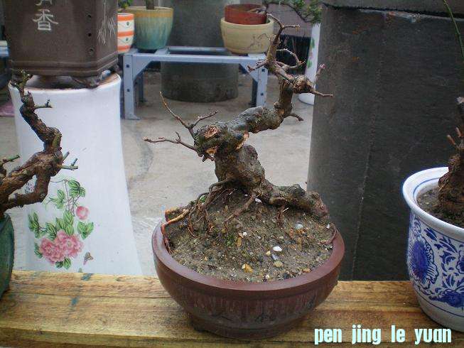 100_0985.JPG