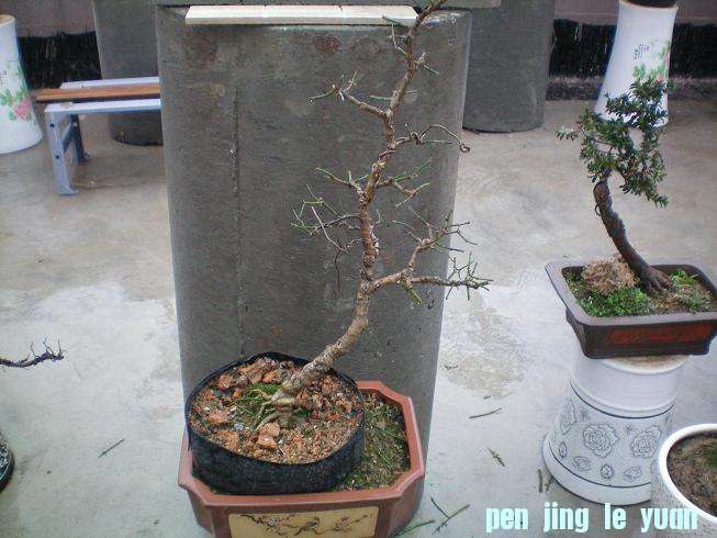 100_0990.JPG