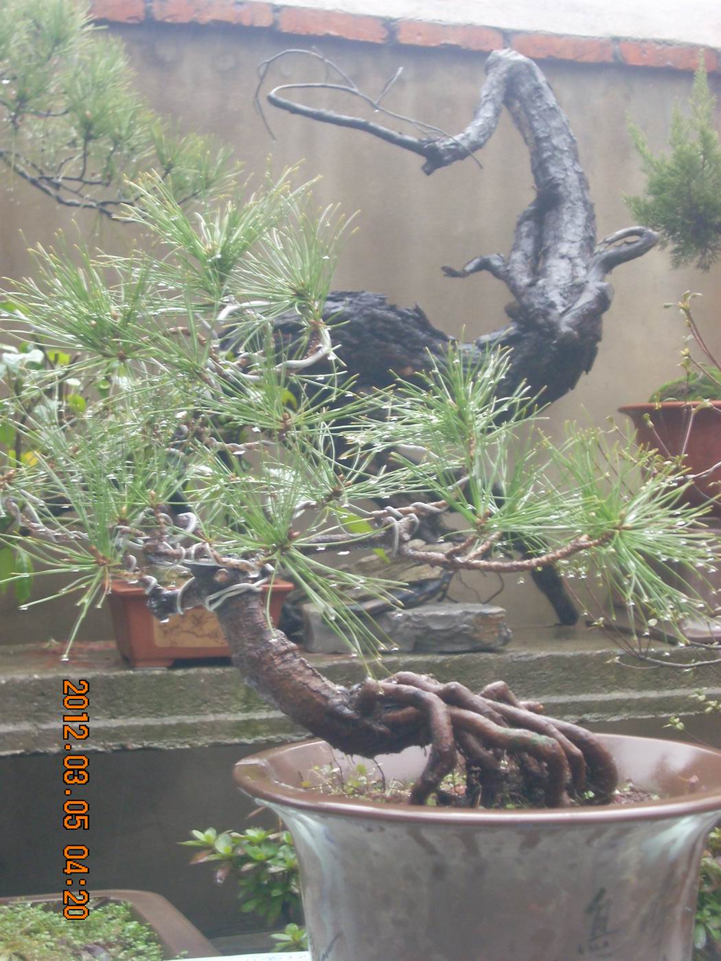 С ת DSCN0014.JPG