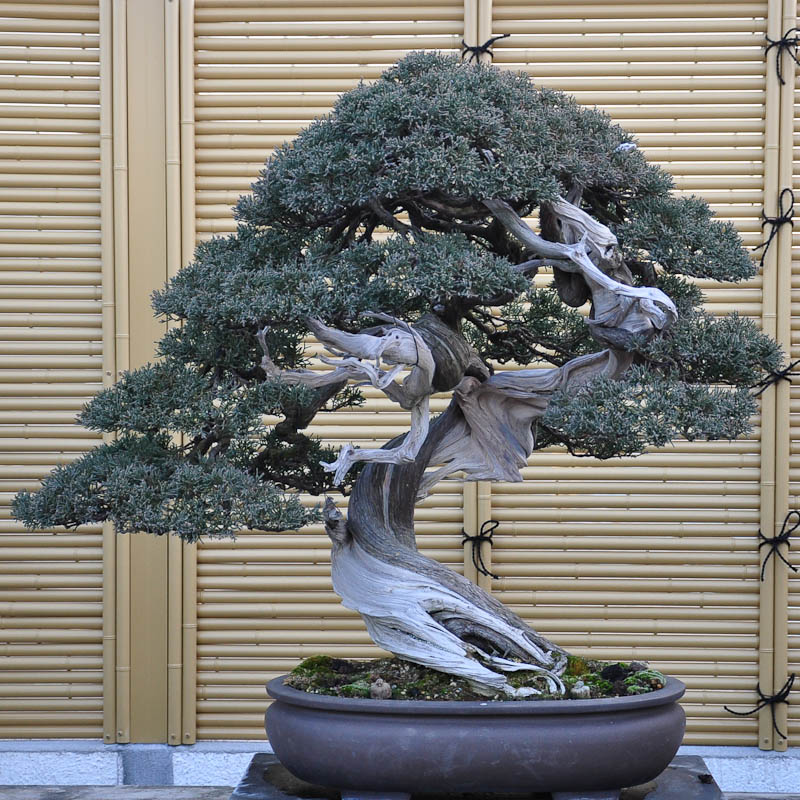 urushibata-2.jpg
