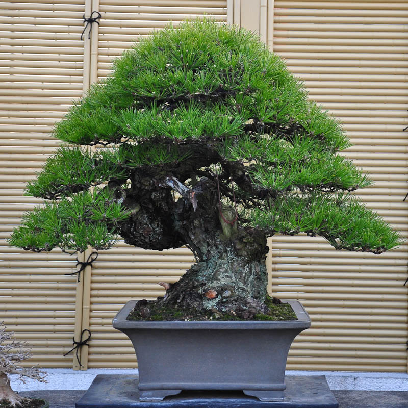 urushibata-4.jpg