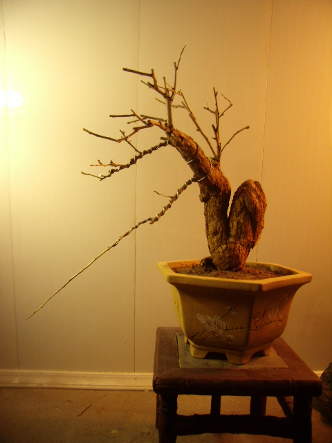 P3050047.JPG
