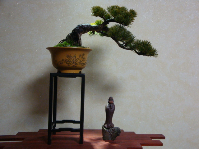 DSC08000.JPG