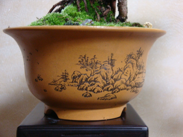 DSC08004.JPG