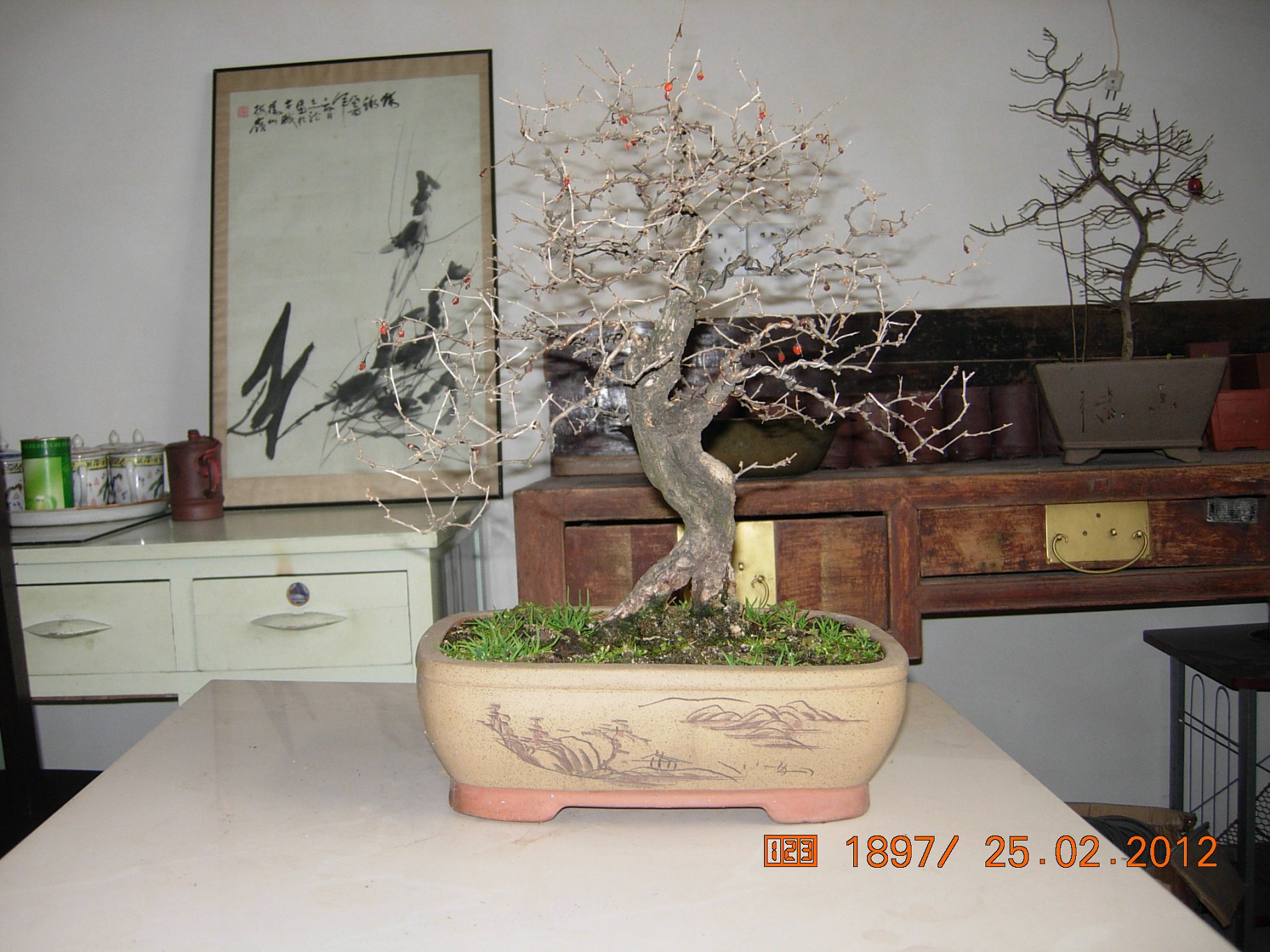 DSCN5439.JPG