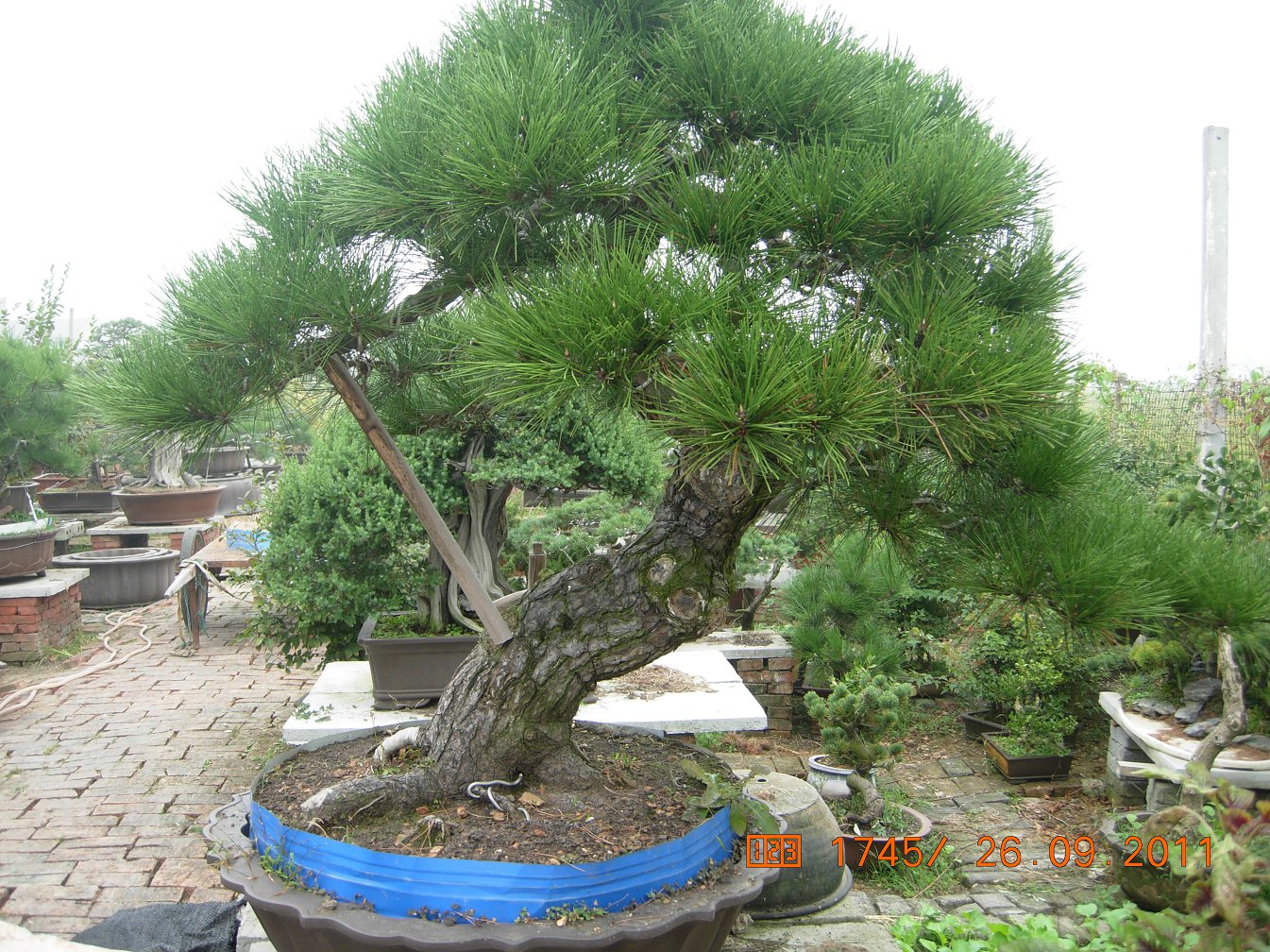 DSCN4423.JPG