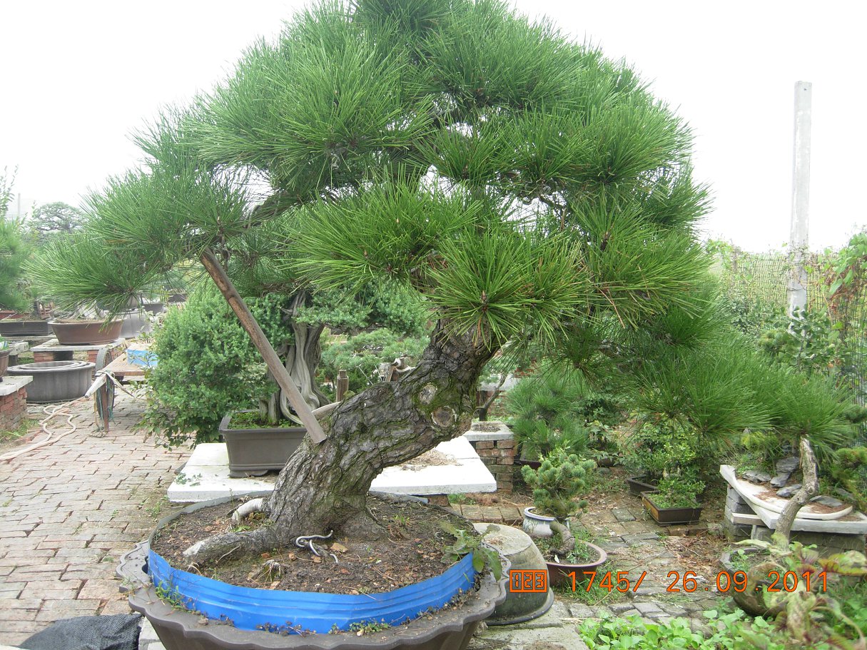 DSCN4424.JPG